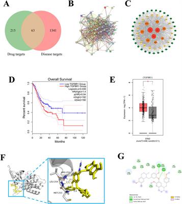 Isoliensinine suppressed gastric cancer cell proliferation and migration by targeting TGFBR1 to regulate TGF-β-smad signaling pathways